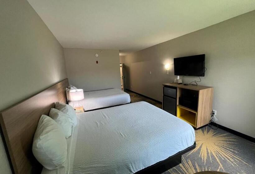 스탠다드 룸, Days Inn By Wyndham Laplace New Orleans