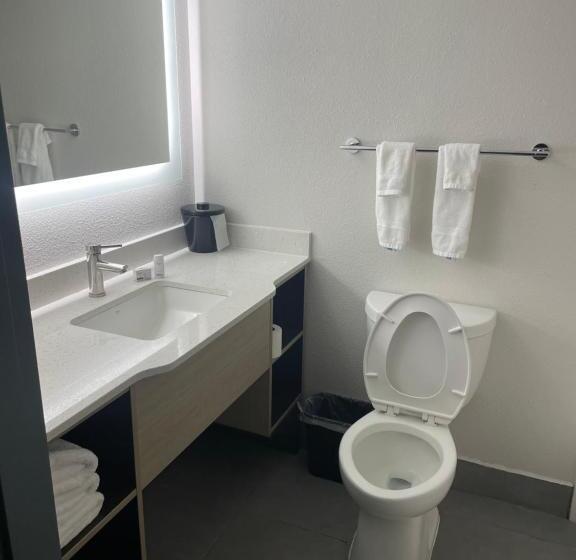 Люкс Кровать Кинг, Wingate By Wyndham Savannah Gateway