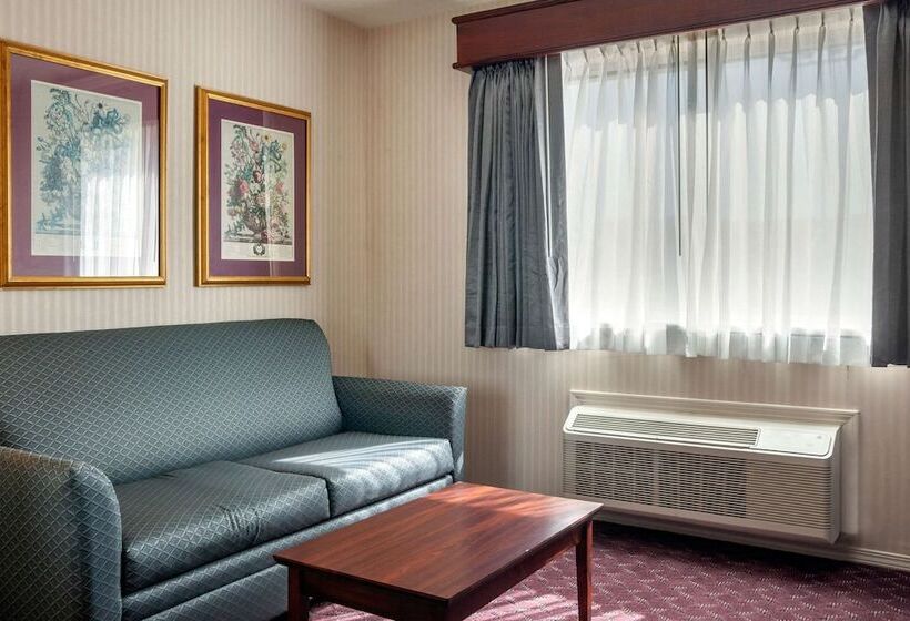 Номер Стандарт Адаптированный для Инвалидов, Wintergreen Hotel & Conference Center