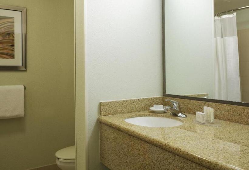 스탠다드 룸, Courtyard By Marriott Little Rock Downtown