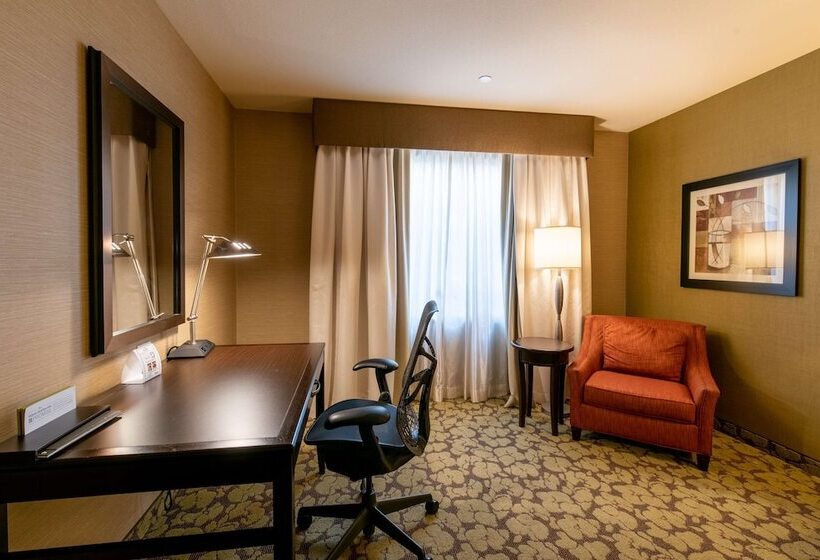 Полулюкс, Hilton Garden Inn Ogden Ut
