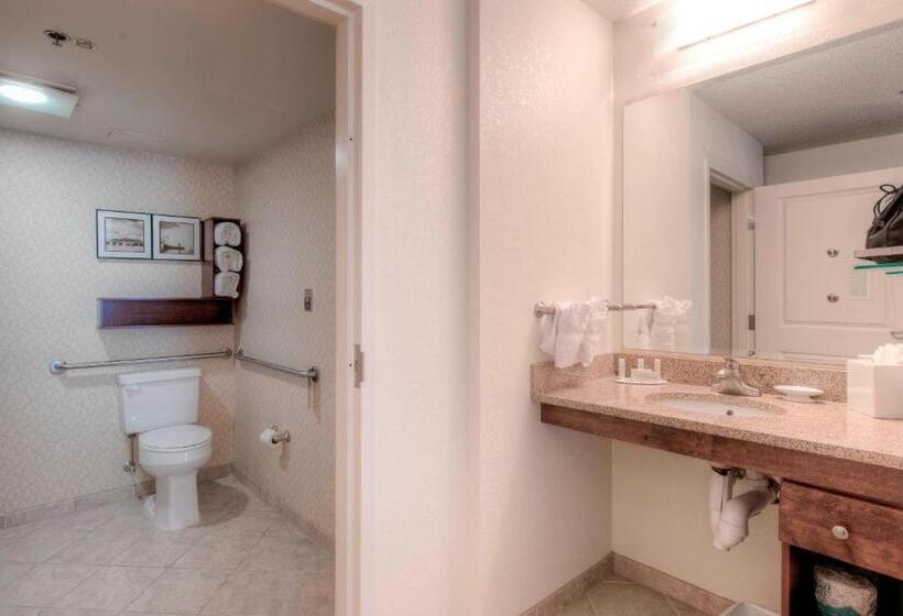 Люкс, Residence Inn By Marriott Chapel Hill