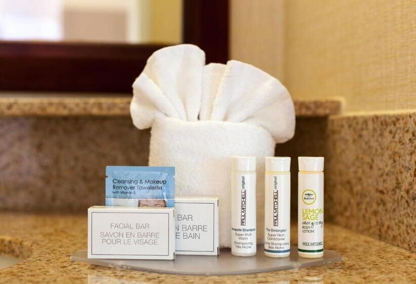 Студия Стандарт Кровать Куин, Springhill Suites Charlotte Lake Norman/mooresville