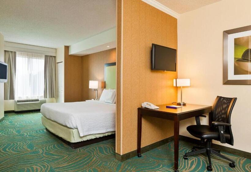 Студио Стандарт Кровать Кинг, Springhill Suites Charlotte Lake Norman/mooresville