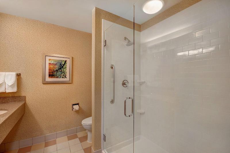 스탠다드 룸 킹사이즈 침대, Fairfield Inn & Suites By Marriott Detroit Metro Airport Romulus