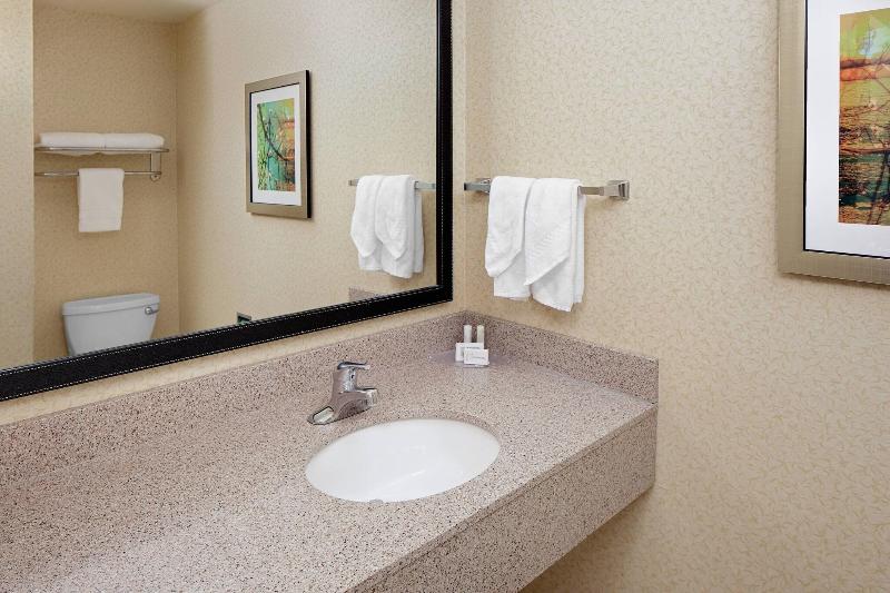 스탠다드 룸 킹사이즈 침대, Fairfield Inn & Suites By Marriott Detroit Metro Airport Romulus