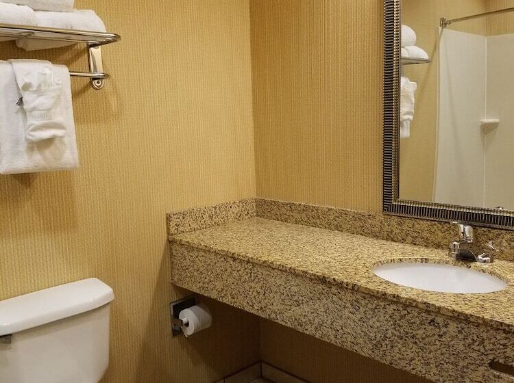 Люкс, Comfort Inn & Suites