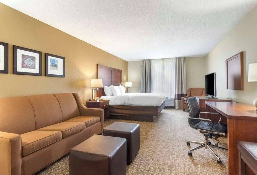 Люкс Адаптированный для Инвалидов, Comfort Inn & Suites