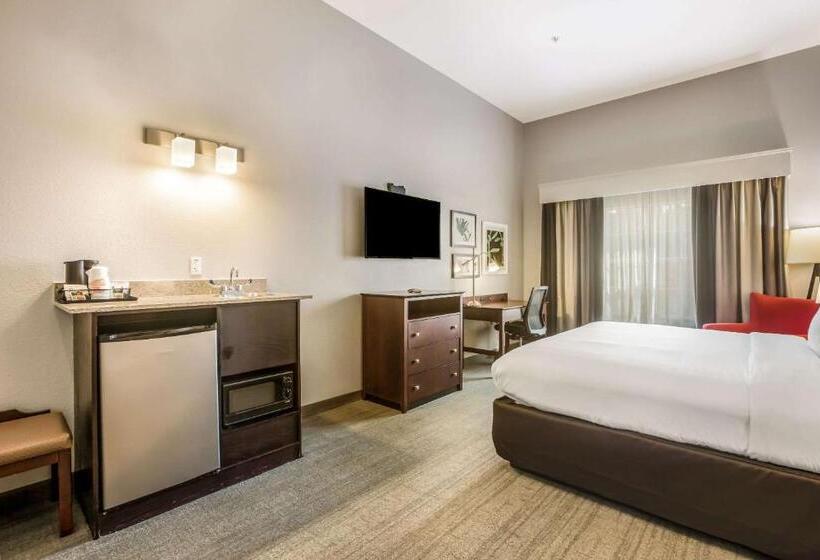 Номер Стандарт Кровать Кинг Адаптированный для Инвалидов, Comfort Inn & Suites