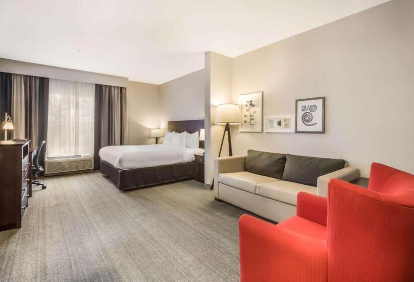 Люкс Кровать Кинг, Comfort Inn & Suites