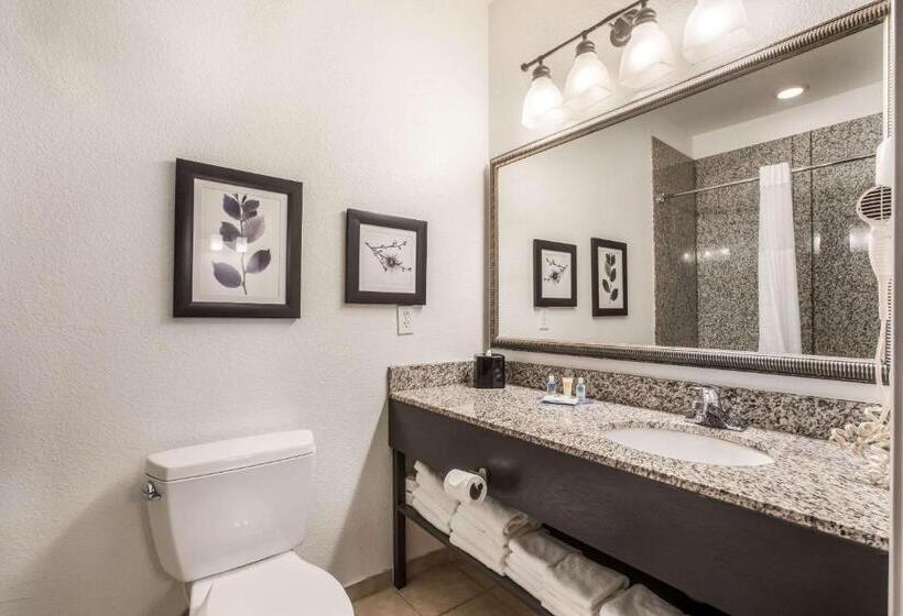 Люкс Кровать Кинг, Comfort Inn & Suites