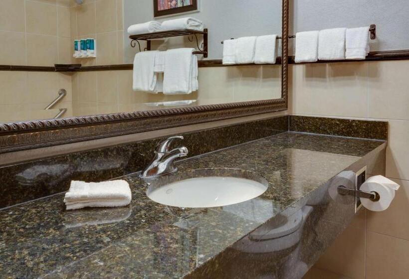 带大床的高级房间, Drury Inn & Suites Las Cruces