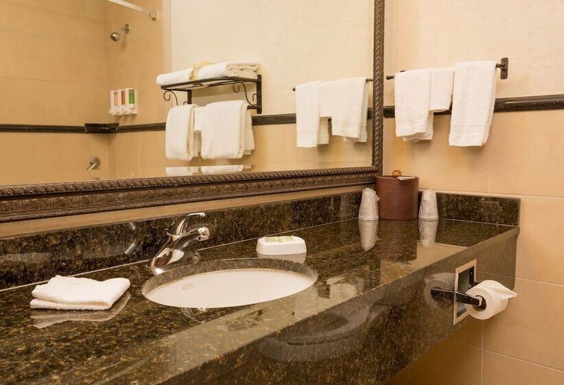 豪华房间, Drury Inn & Suites Las Cruces