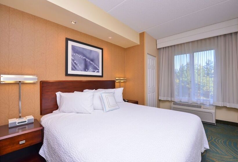 Студия Стандарт, Springhill Suites Arundel Mills Bwi Airport