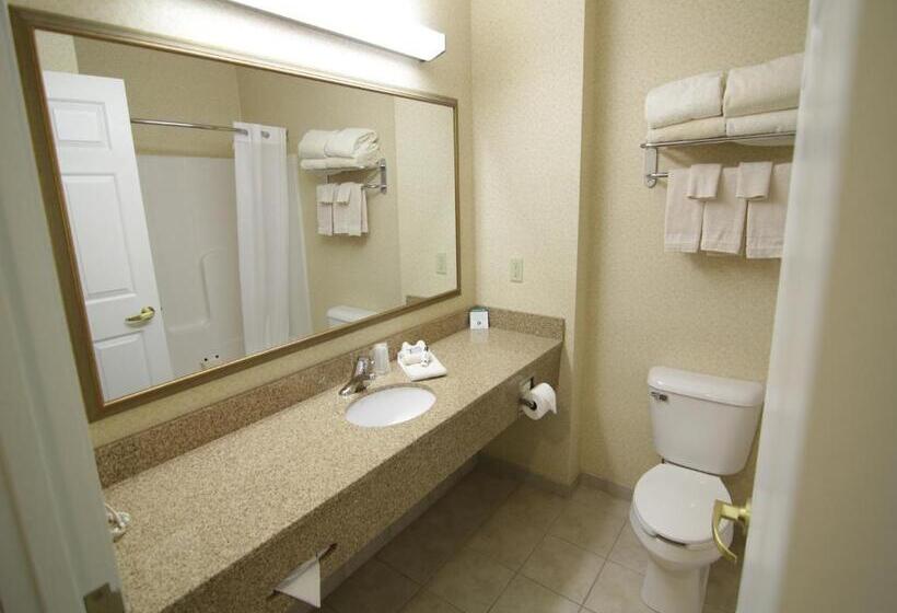 キングサイズベッドのスタンダードルーム, Town & Country Inn And Suites