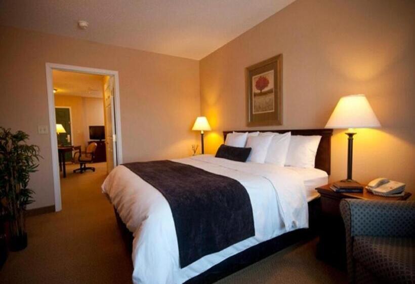 キングサイドベッドのスタンダードワンルーム, Town & Country Inn And Suites