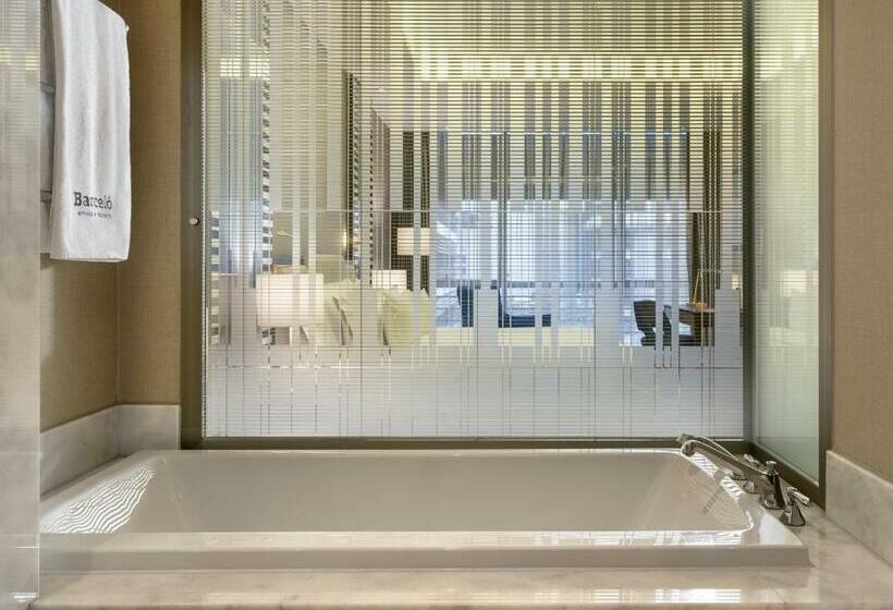 デラックスルーム, Barcelo Istanbul