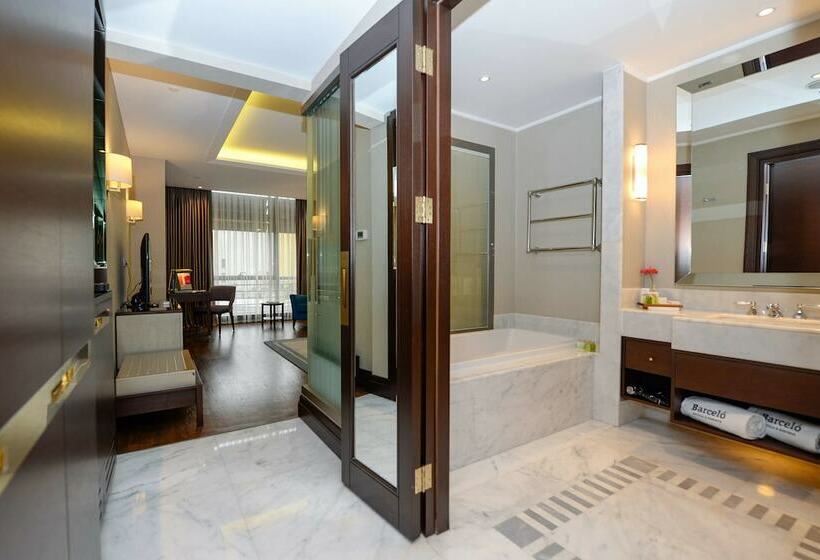 デラックスルーム, Barcelo Istanbul
