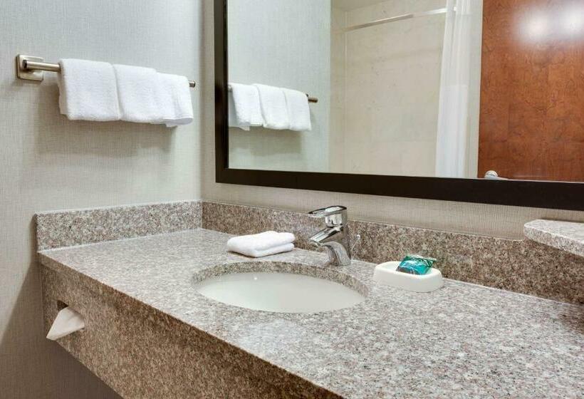 キングサイズベッドのデラックスルーム, Drury Inn & Suites Middletown Franklin