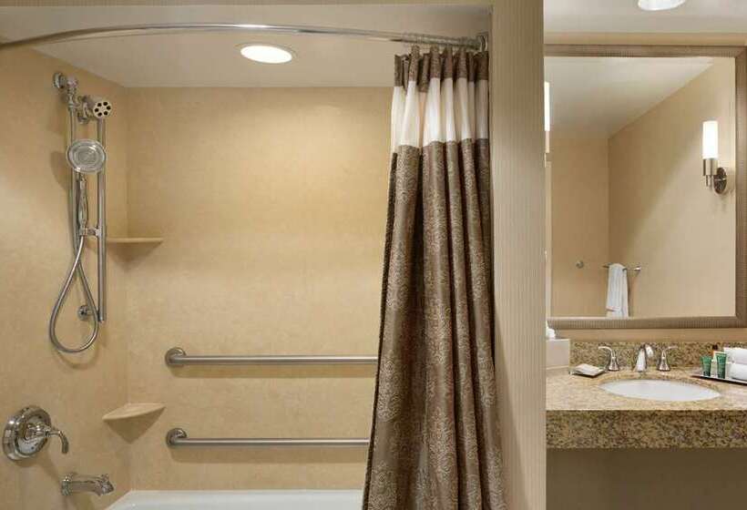 Номер Стандарт Кровать Кинг Адаптированный для Инвалидов, Hilton Columbus Downtown