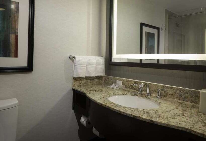 Номер Стандарт Кровать Кинг Адаптированный для Инвалидов, Hilton Columbus Downtown
