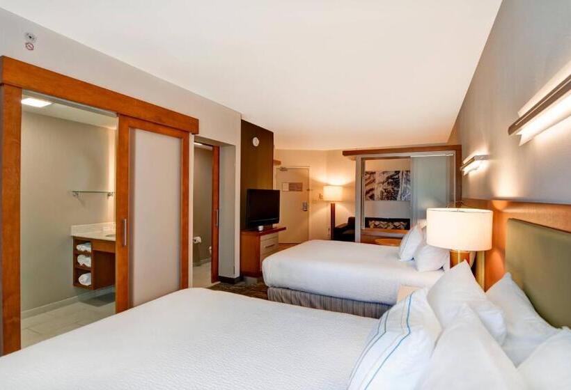 Студия Стандарт, Springhill Suites By Marriott Cincinnati Midtown
