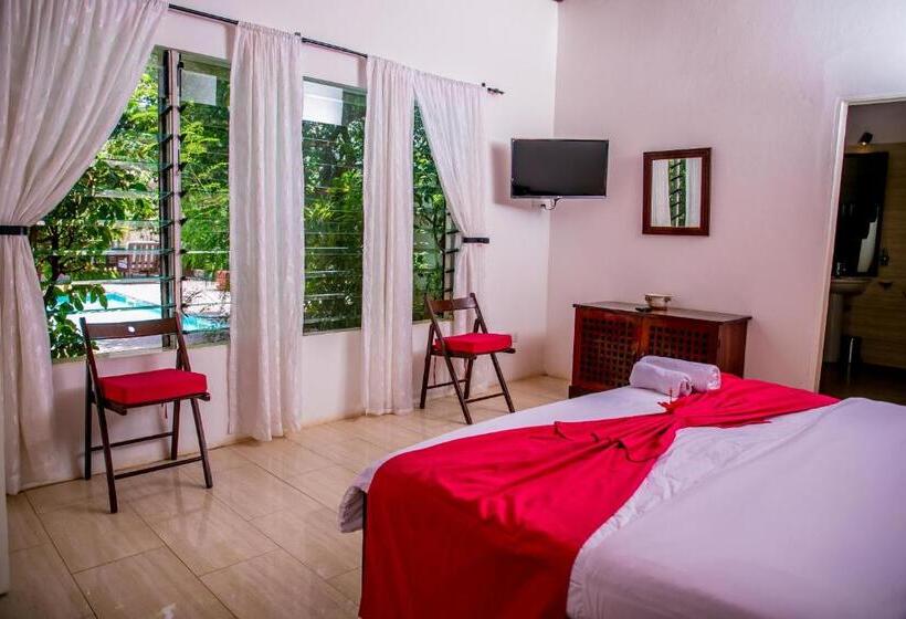 سوییت, Hibiscus House Gambia