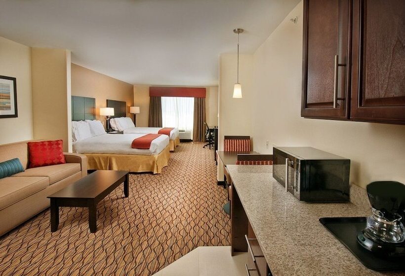 스위트, Holiday Inn Express Hotel And Suites Pearsall, An Ihg