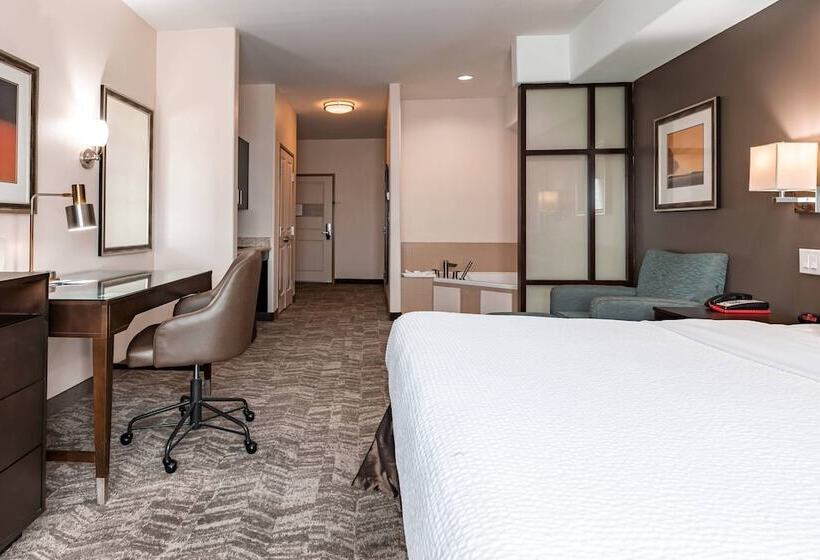Люкс, Springhill Suites By Marriott Waco Woodway