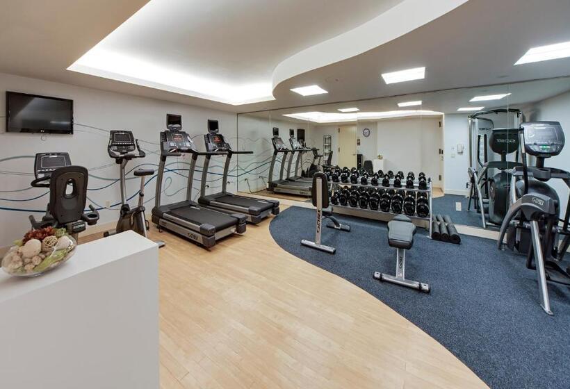 اتاق لوکس با تخت بزرگ, Wyndham Garden Chinatown