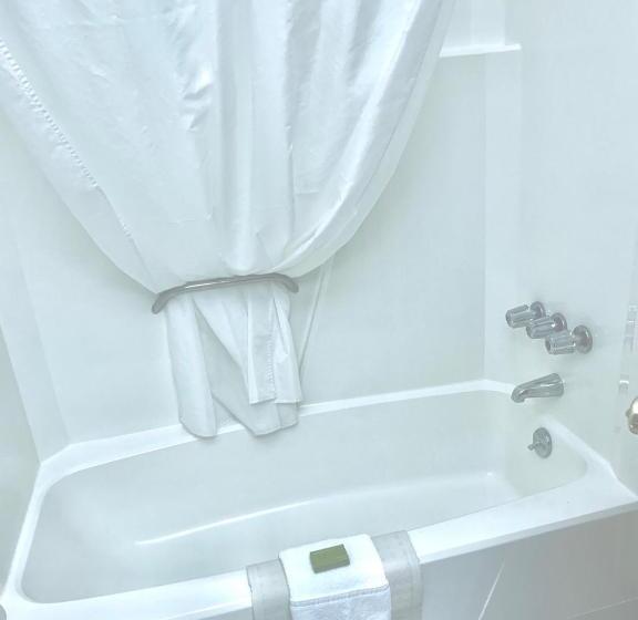 스탠다드 룸 킹사이즈 침대, Bicentennial Inn