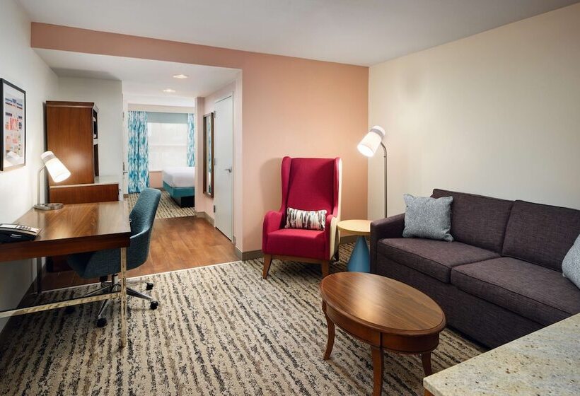 Suíte Júnior, Hilton Garden Inn Atlanta Midtown