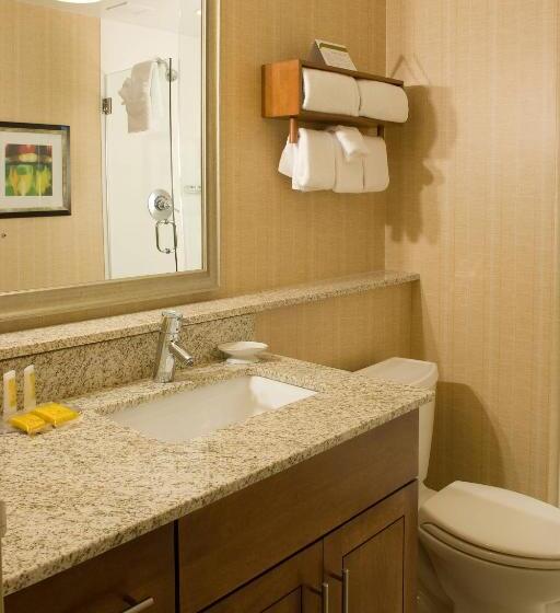 Люкс 2 Спальни, Residence Inn By Marriott Fairfax City
