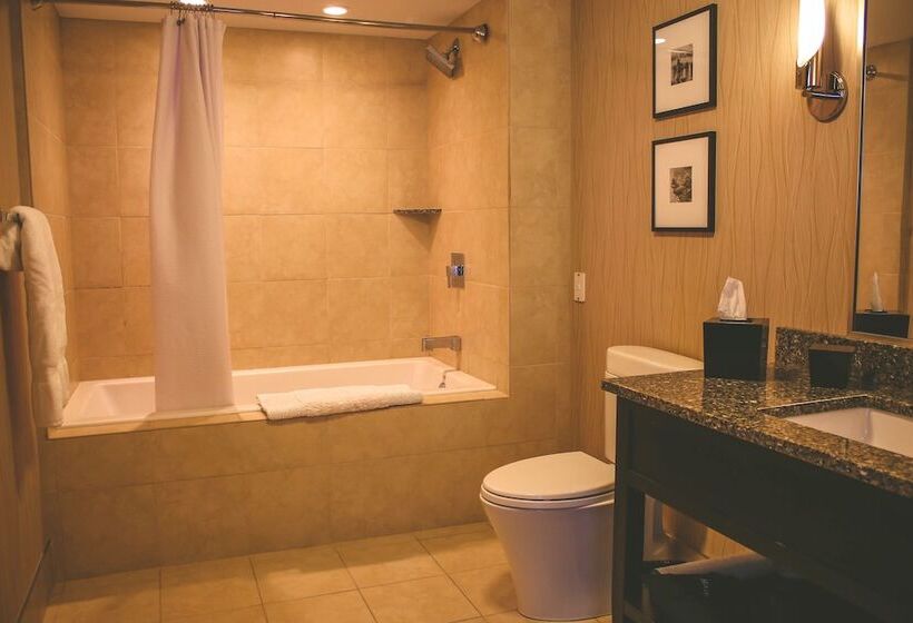 Номер Стандарт, Voco The Tiger Hotel, Columbia, Mo, An Ihg