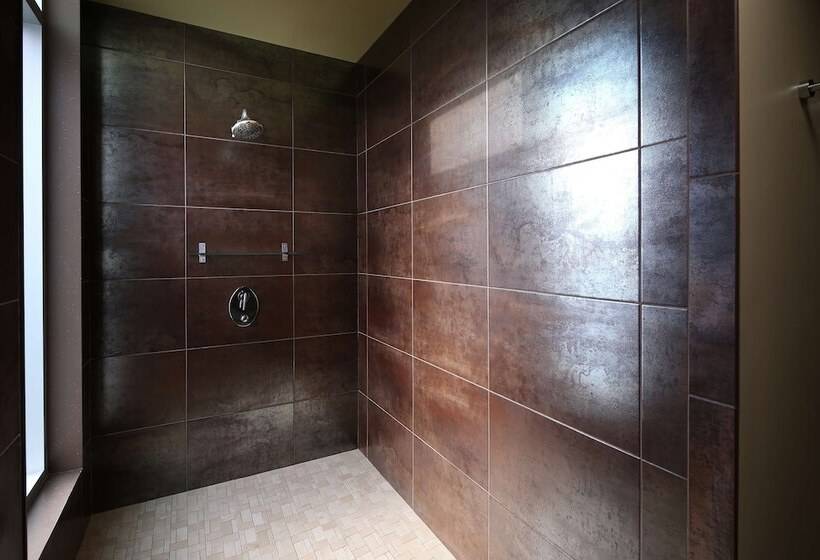 Студия Deluxe, Tulyp, Tapestry Collection By Hilton