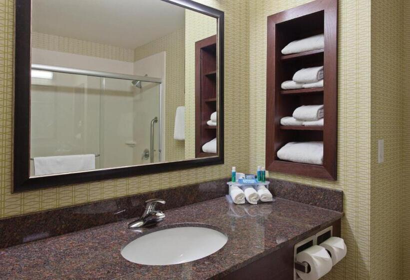 套房, Holiday Inn Express & Suites Tacoma Downtown, An Ihg