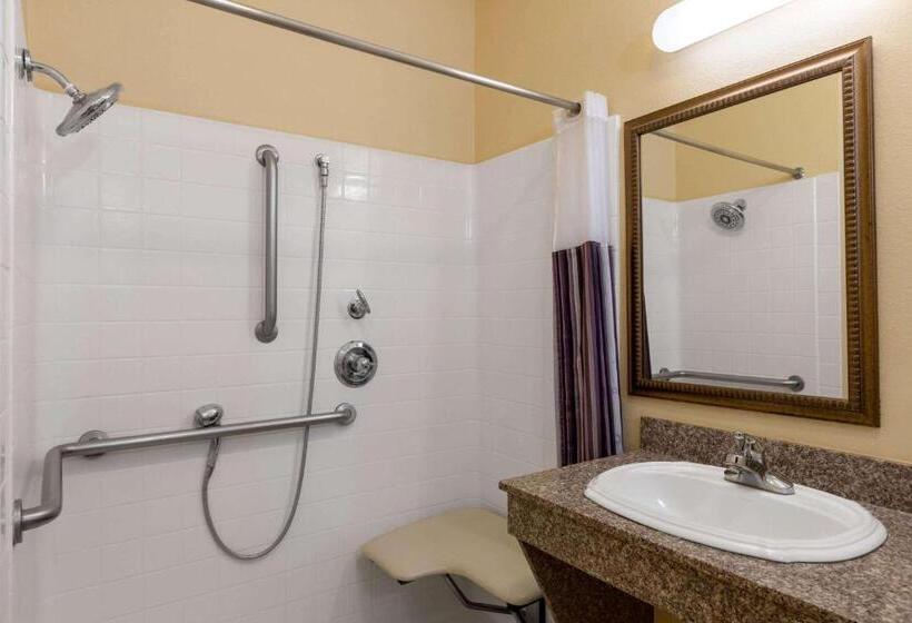 Номер Стандарт Кровать Кинг Адаптированный для Инвалидов, La Quinta By Wyndham Dodge City