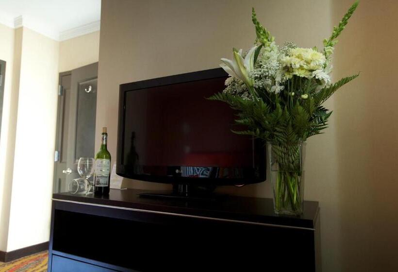 اتاق استاندارد با تخت بزرگ, Nesva Hotel   New York City Vista