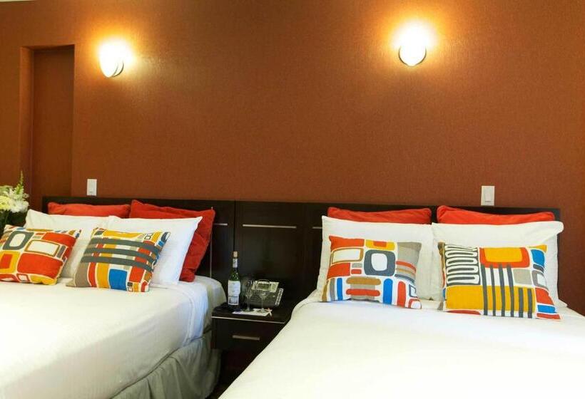 اتاق استاندارد برای معلولان, Nesva Hotel   New York City Vista