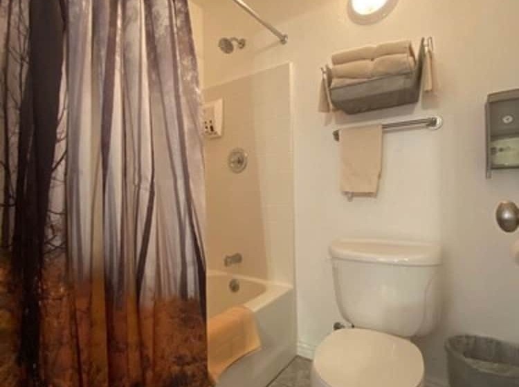 Номер Deluxe, The Snuggle Inn