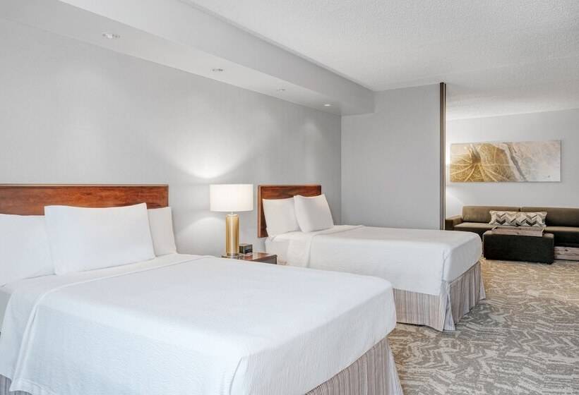 Люкс, Springhill Suites Terre Haute