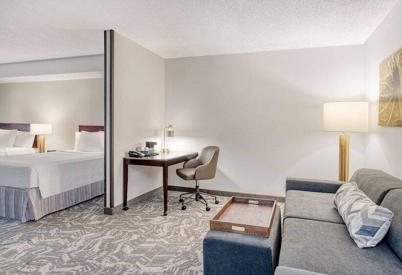 Люкс, Springhill Suites Terre Haute