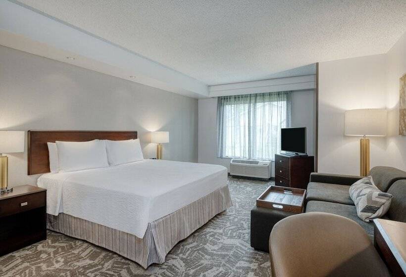 Люкс, Springhill Suites Terre Haute