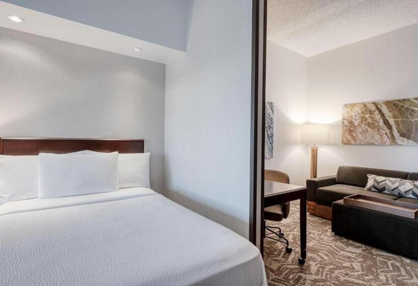 Люкс, Springhill Suites Terre Haute