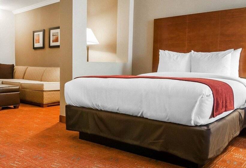 Люкс, Comfort Suites Farmington