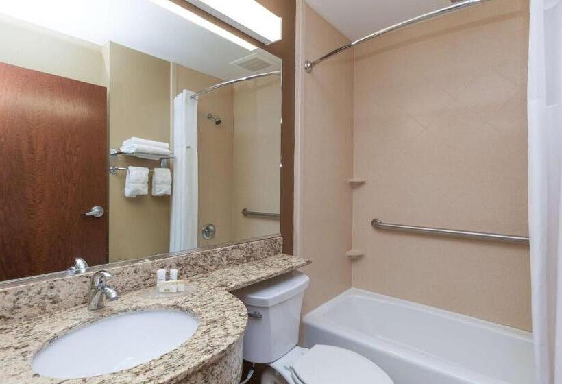 Студия Стандарт, Microtel Inn & Suites By Wyndham Wheeler Ridge
