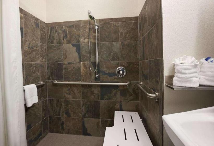 适用于残疾人士的豪华房间, Microtel Inn & Suites Wilkes Barre