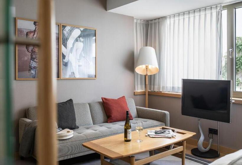 高级大房间, The Guesthouse Vienna