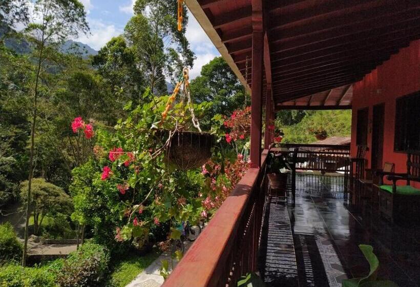 标准间, Orillas Del Pizano