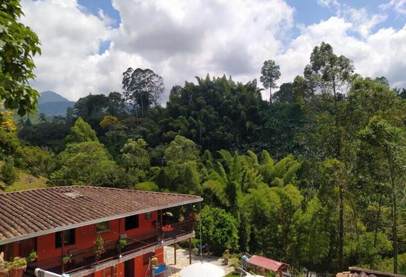 基本三人间, Orillas Del Pizano